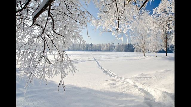 #1 Релакс| Звуки Леса| Отдых и медитация смотреть онлайн