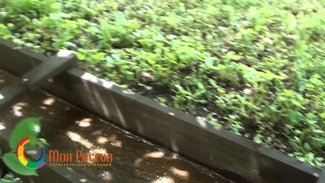 Экскурсия в Кудеярову пещеру в с.Лох из Саратова от туркомпании "Моя Россия" смотреть онлайн
