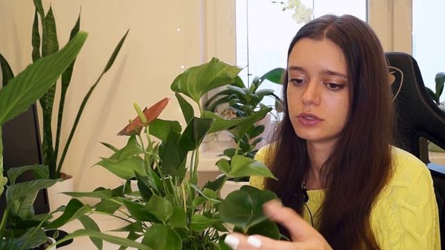 МОЯ КОЛЛЕКЦИЯ РАСТЕНИЙ ?Обзор комнатных цветов 2021? смотреть онлайн
