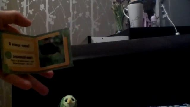 Птица киви небольшой обзор )))) смотреть онлайн