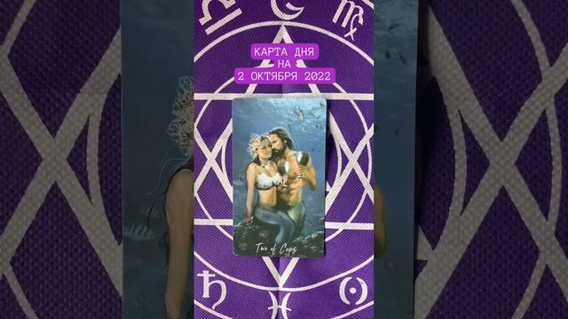 ТАРО: Карта дня на 2 10 2022 года. #таро #картытаро #картадня #гадание #тароонлайн #гаданиеонлайн смотреть онлайн