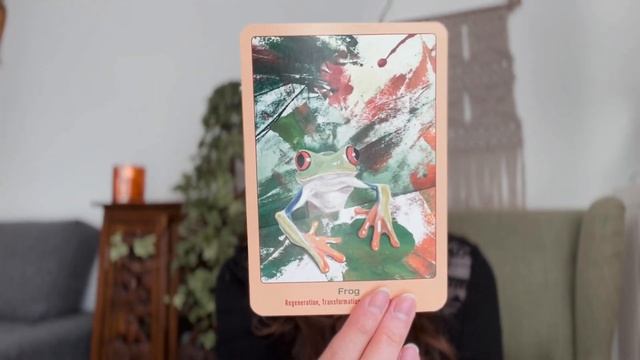 REVIEW: Animal Love Oracle Cards смотреть онлайн