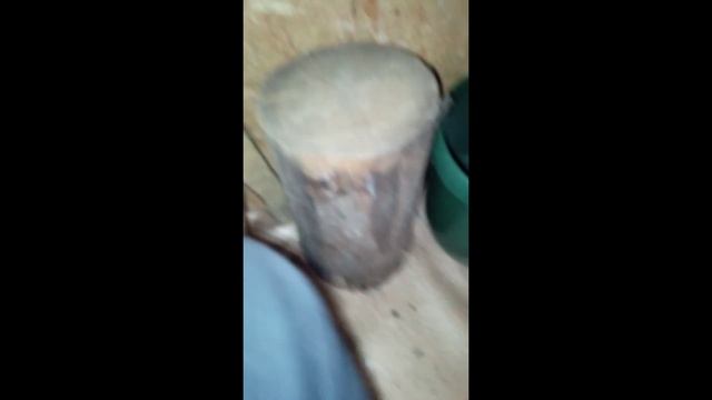 что произошло с моим домиком за 7 месяцев? смотреть онлайн