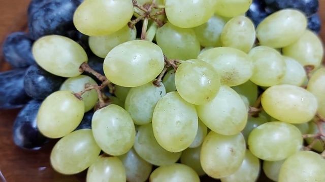 Научные Эксперименты