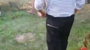 Делаем дачный чай, топим самовар, собираем тыкву.