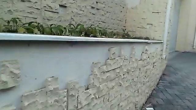 Одесса. Номера телефонов для отдыха.Дорога с пляжа до нашего отеля.Ужасные хозяева. смотреть онлайн