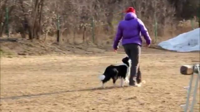 Бета сдача ВН смотреть онлайн