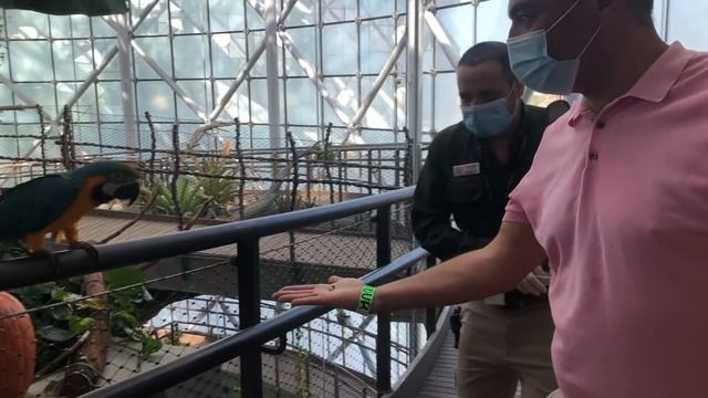 ДЛИННЫE ВЫХОДНЫЕ С СЕМЬЕЙ / ЗЕЛЕНАЯ ПЛАНЕТА смотреть онлайн