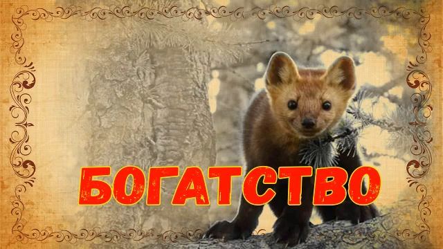 Валентин Пикуль. Богатство. смотреть онлайн