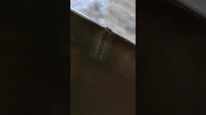 Эдон смарт миг 190,сварка металла 5 мм,порошковая проволока эдон 1 мм,горелка Дока 36.