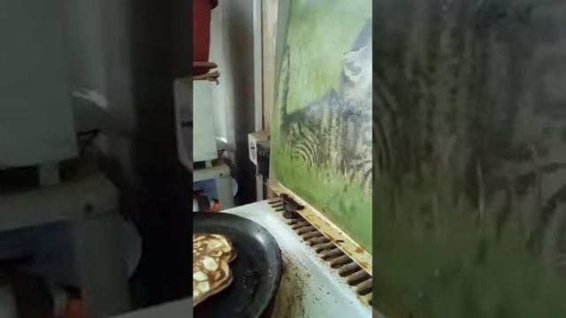 чи оладьи чи блины да какая разница главное вкусно смотреть онлайн