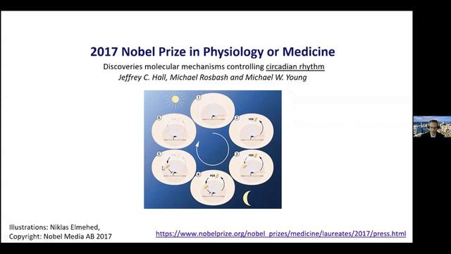 9th Annual Obesity Research Incubator Session - Brigham Research Institute смотреть онлайн