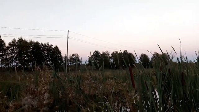 Охота.Охота на уток на вечерних перелетах.Цены на путевки.Хорошая охота. смотреть онлайн