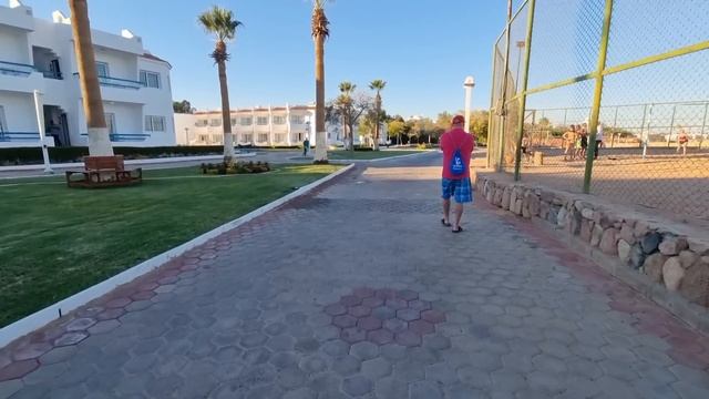 ШАРМ ЗИМОЙ/ ЗАСЕЛЯЕМСЯ в отель Dreams Vacation 4*/ ПЕРВЫЕ ВПЕЧАТЛЕНИЯ и обзор номера/ Египет 2024 смотреть онлайн