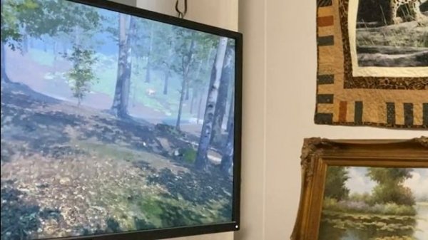 Big Cat Rescue Reaction To VR Game Launch 2020