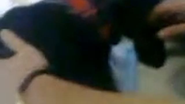 Видео0064 смотреть онлайн