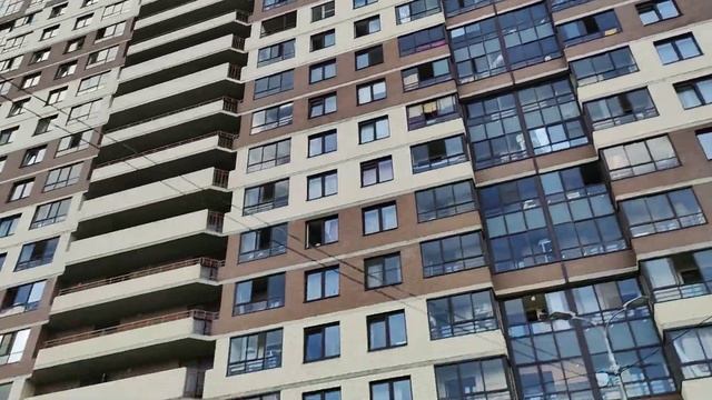 Аренда помещения в новом ЖК в Санкт-Петербурге смотреть онлайн