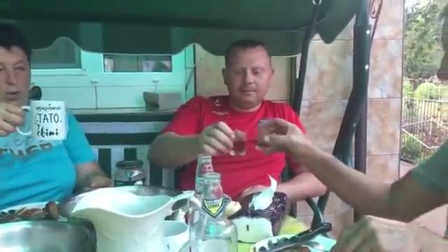 Душевні посиденьки зятя і тещі смотреть онлайн