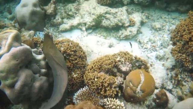 The Island of Pagurian . Part. 4 Остров отшельников смотреть онлайн