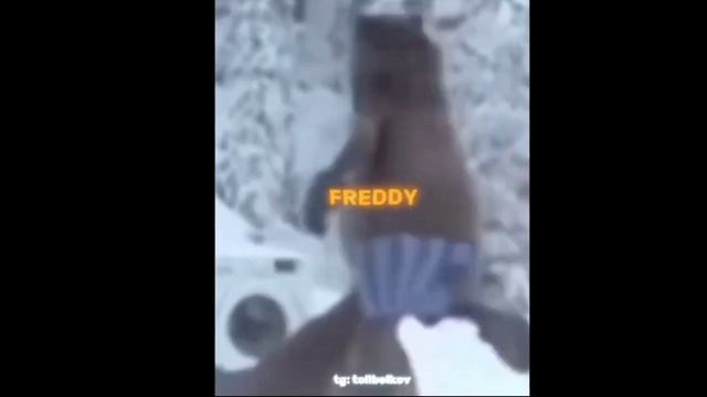 Фредди фазбер смотреть онлайн