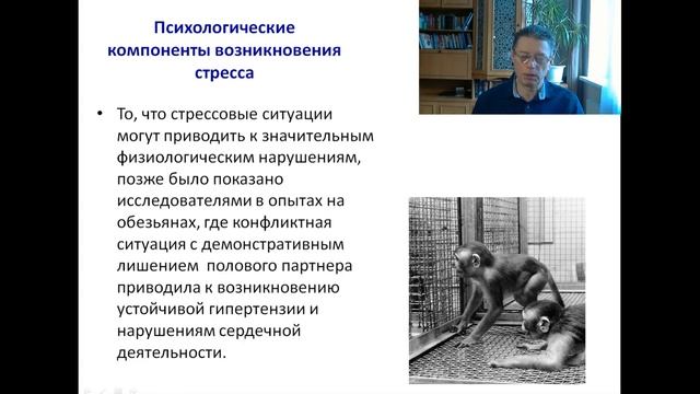 Психология стресса. Лекция 1 смотреть онлайн