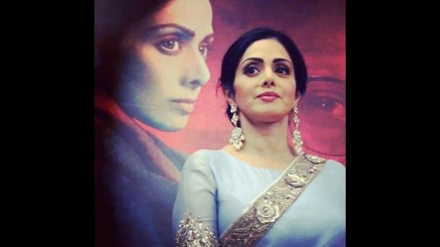 ПОСВЯЩАЕТСЯ МОЕЙ МУЗЕ ЛУНОЛИКОЙ ШРИДЕВИ. ОТ ЛЮБЯЩЕГО ФАНАТА ЭМИЛЯ 13.08.1963 - 24.02.2018 смотреть онлайн