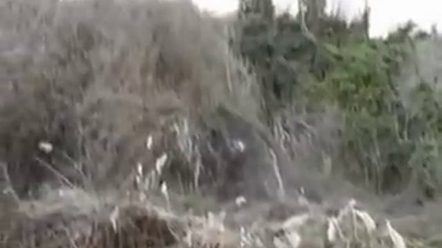 Чудо Архангела Михаила в Хонех смотреть онлайн