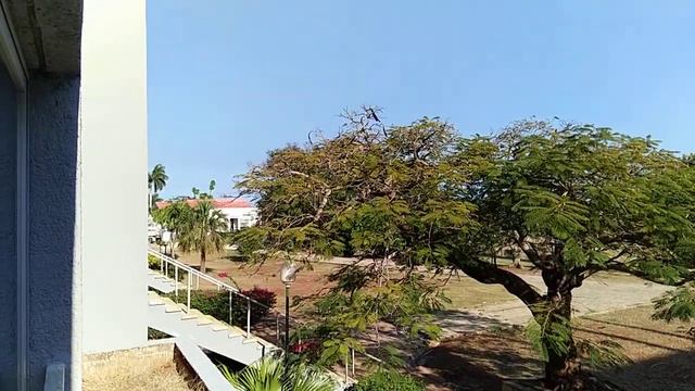 Куба, в Варадеро. В номере отеля Starfish Varadero 3* смотреть онлайн