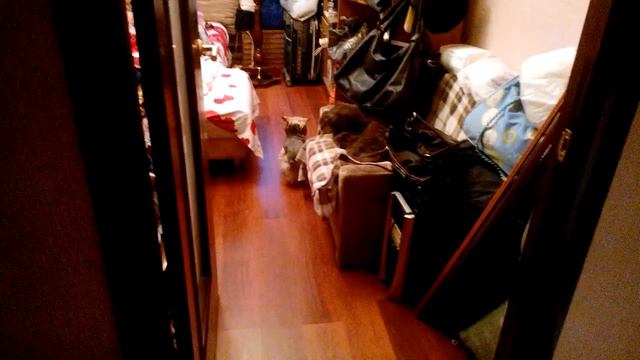 Йорк ходит задом смотреть онлайн