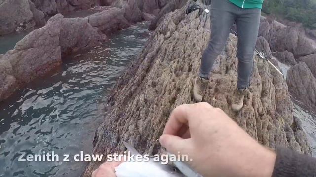 Bass fishing in Pembrokeshire with surface lures zenith z claw смотреть онлайн