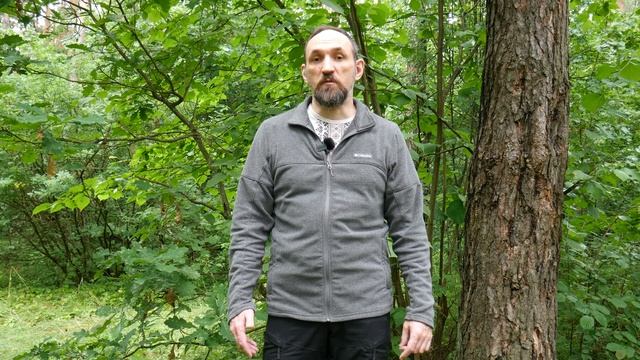 Онлайн Хоровод: Сказки Славян - Путь к Силе. [Ведзнич] смотреть онлайн
