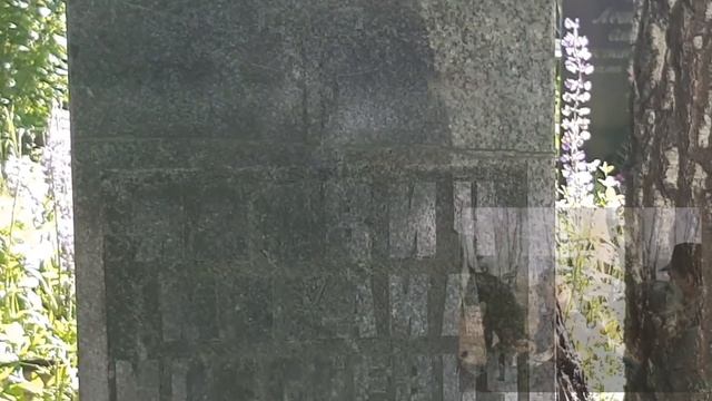 забытые могилы смотреть онлайн
