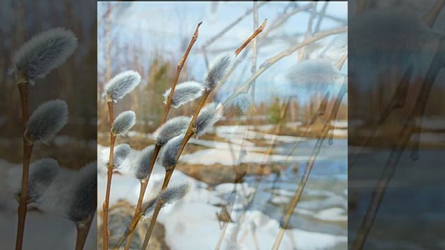 Когда смеялась весна... смотреть онлайн