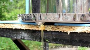 Садовый пресс для яблок