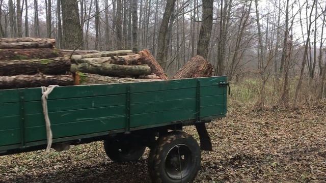 Т-25 с прицепом дров смотреть онлайн