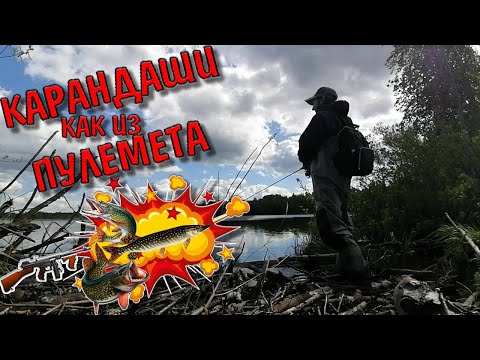 Карандаши Как Из Пулемета/Рыбалка На Спиннинг/Щука На Озере/Летняя Рыбалка На Щуку смотреть онлайн