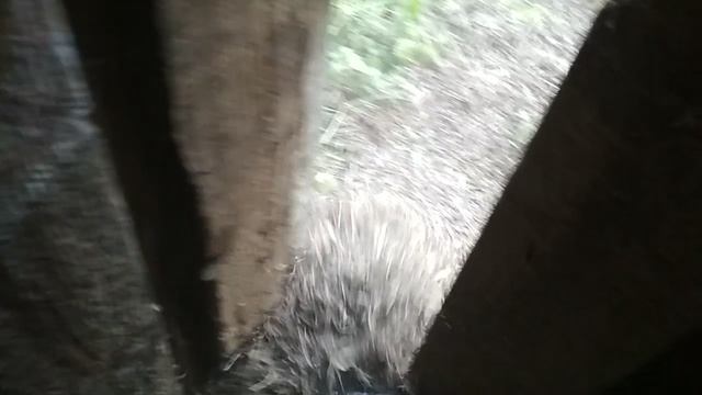 VID_20230730_190251.mp4 смотреть онлайн
