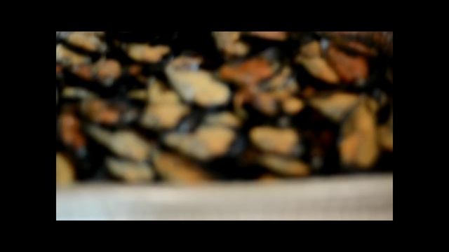 VLOG ЖИЗНЬ В ИТАЛИИ. МИДИИ С РИСОМ И КАРТОФЕЛЕМ. РЕЦЕПТ. смотреть онлайн
