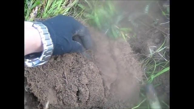 МИНИ КОП смотреть онлайн