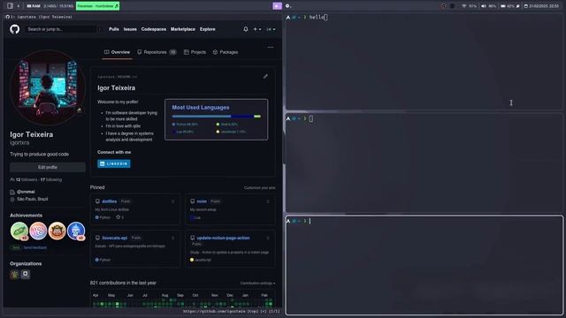 Arch Linux rice (with Qtile) смотреть онлайн