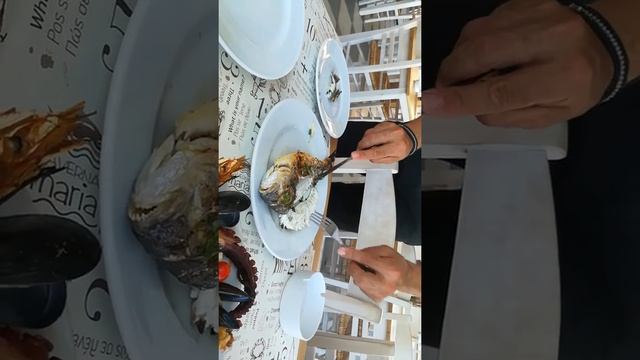 Рыбка дорада. смотреть онлайн