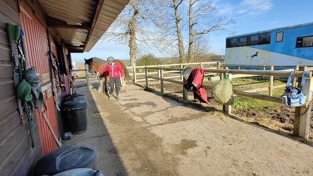 The start of Ted the clydesdale's journey! Day 1 / Lady Ranger Vlogs смотреть онлайн