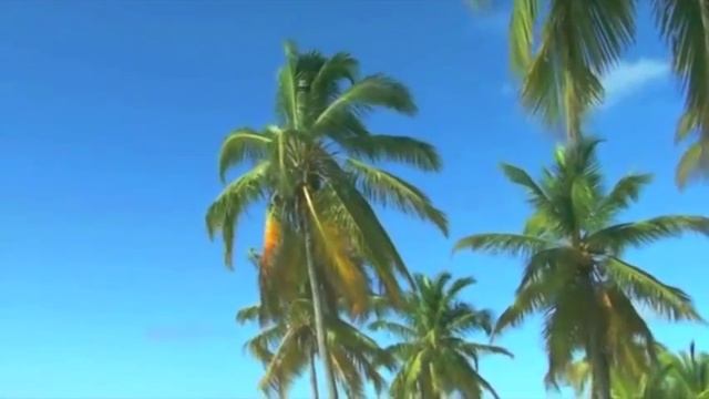 Bacardi Island (Cayo Levantado) - Aventuras Dominican Excursions смотреть онлайн