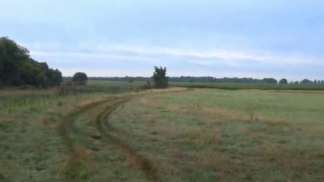 Река Битюг село Талицкий - Чамлык смотреть онлайн