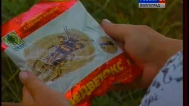 Вредители и методы борьбы с ними. Проведение летней окулировки смотреть онлайн