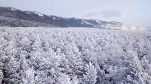 Официальное видео ОАО КЗХ «Бирюса»