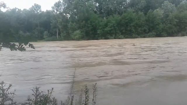 Река Большой Зеленчук угрожает наводнением смотреть онлайн