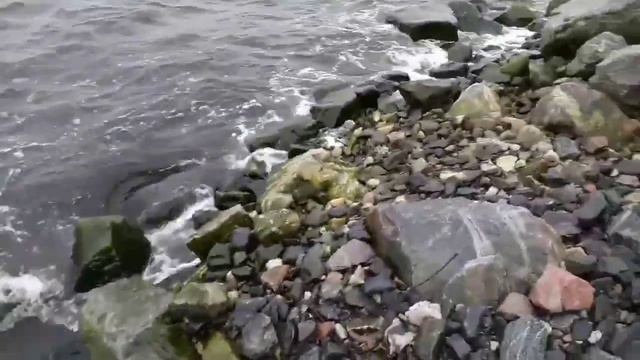 Брожу по берегу Кольского залива смотреть онлайн