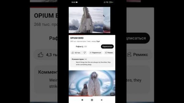 opium bird или же мем из 2027 года что такое!!!???