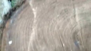 КАК Я ВАРЮ ДРЕВЕСИНУ В СОЛЯНОМ РАСТВОРЕ? Cook wood for quick drying.